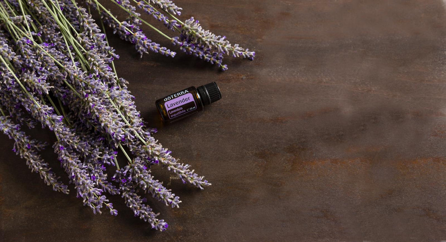 dōTERRA Lavender Lavendelöl 15ml mit frischen Lavendelblüten