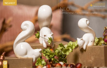 Laden Sie das Bild in den Galerie-Viewer, Tiziano Eichhörnchen Neo auf kante