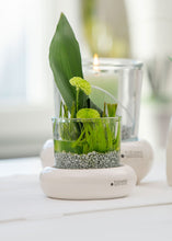 Laden Sie das Bild in den Galerie-Viewer, Tiziano Dekolicht Romani XL