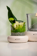 Laden Sie das Bild in den Galerie-Viewer, Tiziano Dekolicht Romani XL