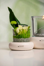 Laden Sie das Bild in den Galerie-Viewer,  www.lillyano.de   Ihr Onlineshop für Tiziano, Deko und Geschenke
Tiziano#Deko#Frühling#Frühjahr#Ostern#Geschenke#Muttertag