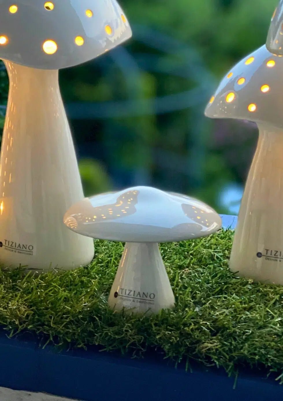 Tiziano Deko Pilz Niara creme - Lillyano