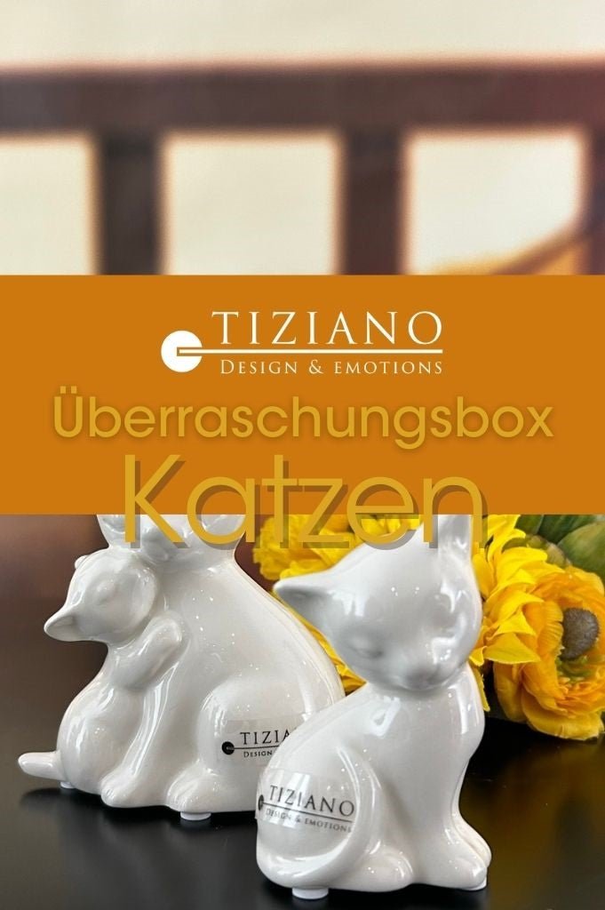 Tiziano Überraschungsbox Angebot! Katzen limitierte Dekobox Katzenfans aufgepasst! - Lillyano