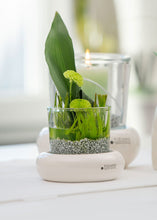 Laden Sie das Bild in den Galerie-Viewer,  www.lillyano.de   Ihr Onlineshop für Tiziano, Deko und Geschenke
Tiziano#Deko#Frühling#Frühjahr#Ostern#Geschenke#Muttertag