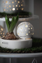 Laden Sie das Bild in den Galerie-Viewer, Tiziano Dekoobjekt Zena weiß-creme rund