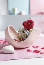 Laden Sie das Bild in den Galerie-Viewer, Tiziano Schale Gazo