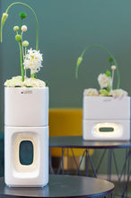 Laden Sie das Bild in den Galerie-Viewer, Tiziano Kübel Quadro mit LED und Timer hoch