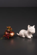 Laden Sie das Bild in den Galerie-Viewer, Tiziano Katze Sadira Kopf hoch