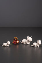 Laden Sie das Bild in den Galerie-Viewer, Tiziano Katze Sadira Kopf hoch