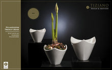 Laden Sie das Bild in den Galerie-Viewer, Tiziano Pflanzgefäß Triolo