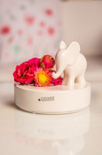 Laden Sie das Bild in den Galerie-Viewer, Tiziano Dekoobjekt Zena mit Leon stehend weiß-creme rund