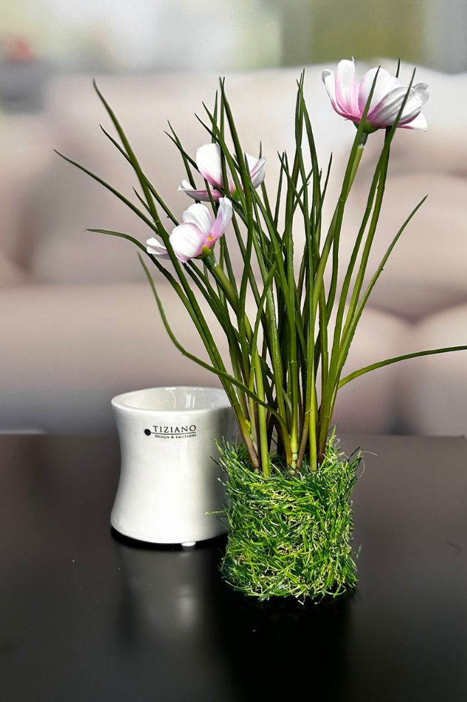 Tiziano Blumentopf Arcobello