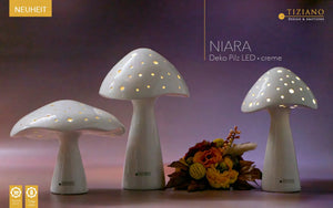 Tiziano Deko Pilz Pilz Niara  LED  creme-weiß  und Timer