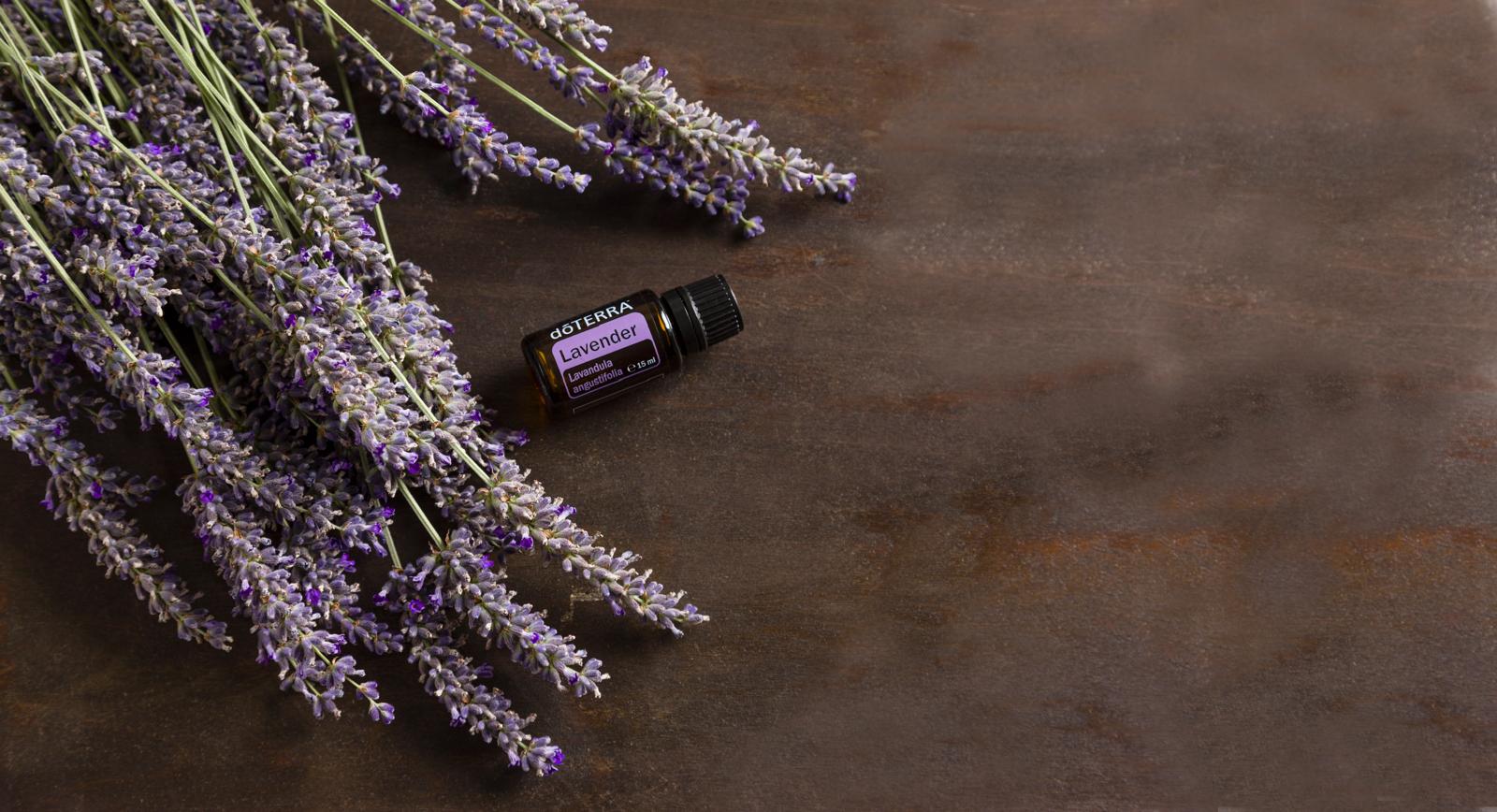 dōTERRA Lavender Lavendelöl 15ml mit frischen Lavendelblüten