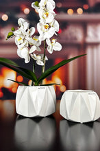 Laden Sie das Bild in den Galerie-Viewer, Tiziano Kübel Alba creme-weiß 2. Wahl
