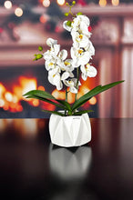 Laden Sie das Bild in den Galerie-Viewer, Tiziano Kübel Alba creme-weiß 2. Wahl
