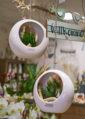  www.lillyano.de   Ihr Onlineshop für Tiziano, Deko und Geschenke
Tiziano#Deko#Frühling#Frühjahr#Ostern#Geschenke#Muttertag