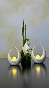  www.lillyano.de   Ihr Onlineshop für Tiziano, Deko und Geschenke
Tiziano#Deko#Frühling#Frühjahr#Ostern#Geschenke#Muttertag