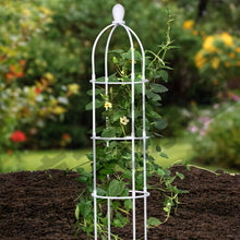 Laden Sie das Bild in den Galerie-Viewer, Rankgitter für Kletterpflanzen und vieles mehr weiss

