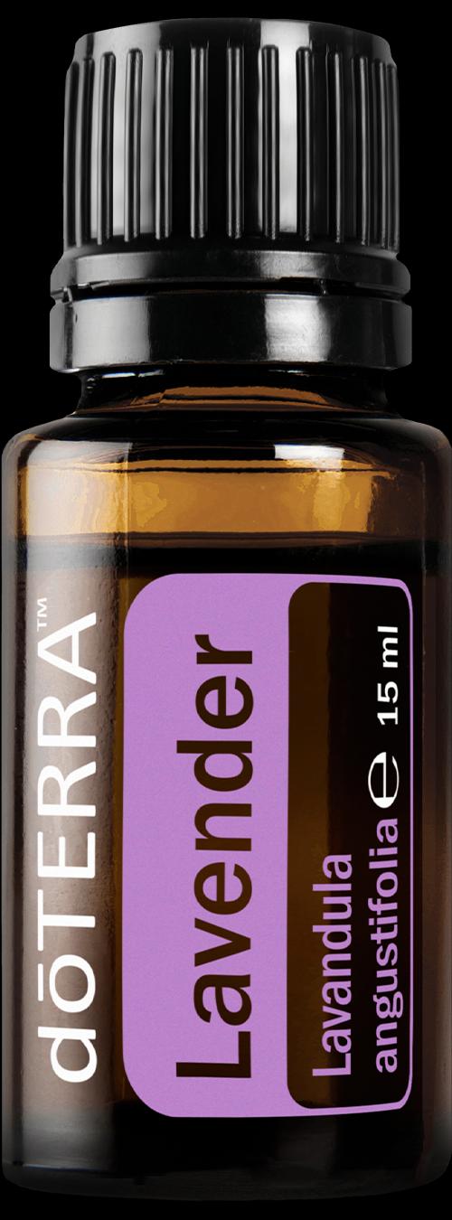 dōTERRA Lavender Ätherisches Lavendelöl 15ml – Flasche