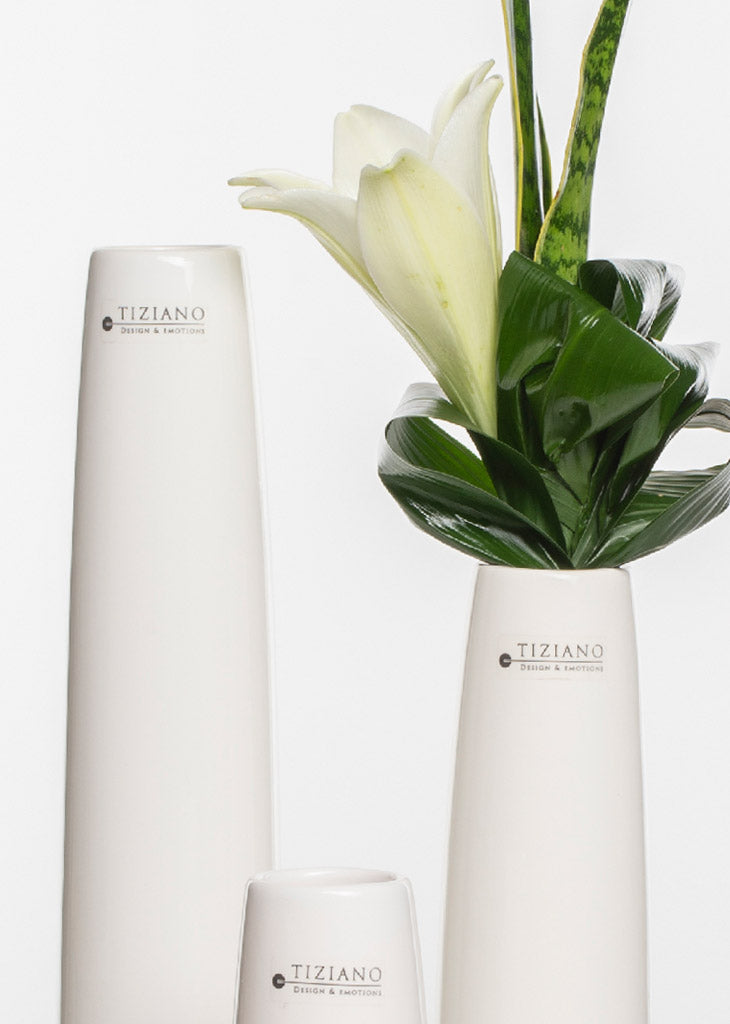 Tiziano Vase Limena creme