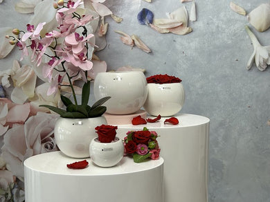 www.lillyano.de   Ihr Onlineshop für Tiziano, Deko und Geschenke
Tiziano#Deko#Frühling#Frühjahr#Ostern#Geschenke
