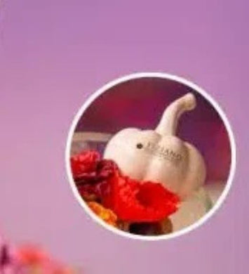 Deko# Geschenke# Ostern# Tiziano# Frühling# Frühjahr# dekoriert# happy# Schale# Keramik#  kaufen# online# günstig# Vase# Kübel# 