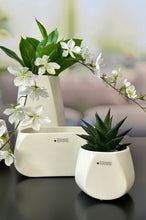 Laden Sie das Bild in den Galerie-Viewer, Tiziano Kübel Skara creme-weiß
