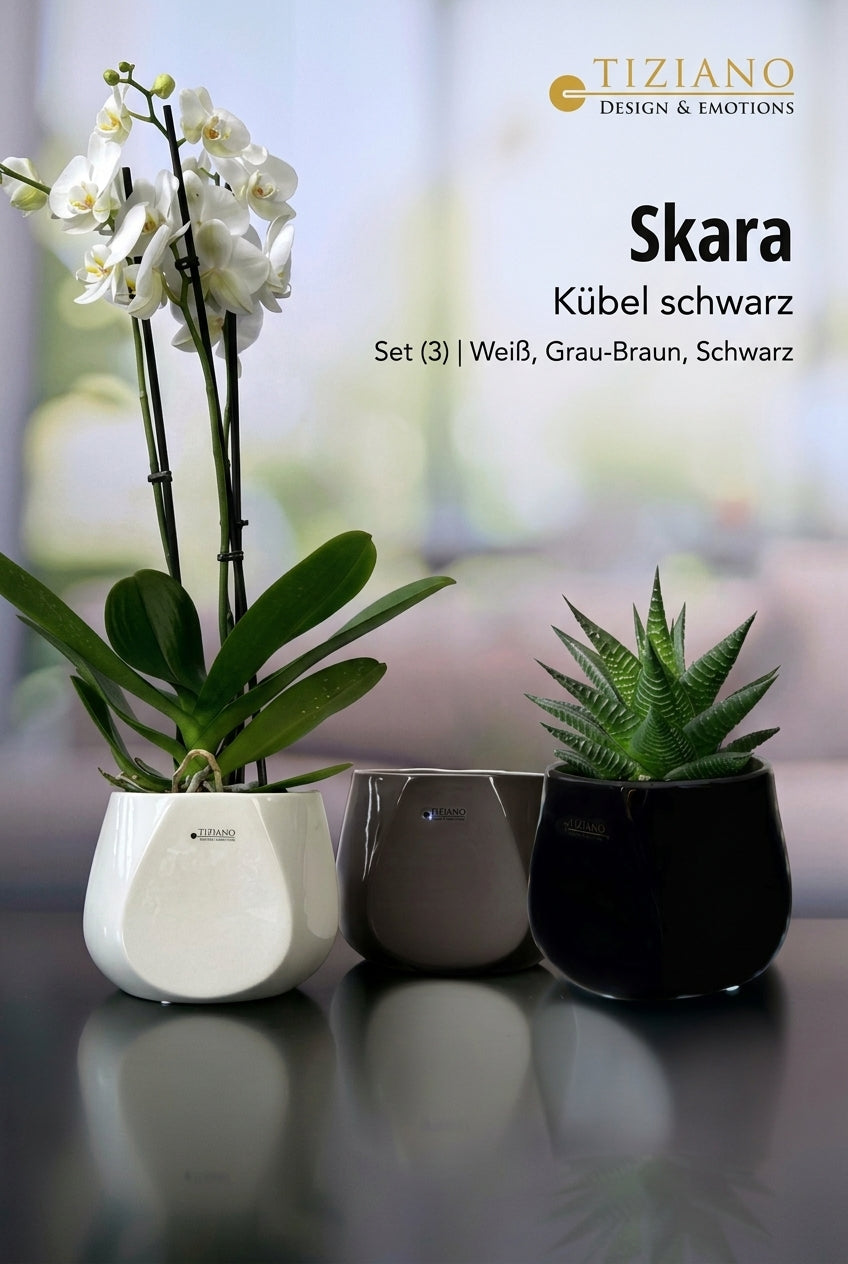 Tiziano Kübel Skara schwarz