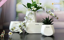 Laden Sie das Bild in den Galerie-Viewer, Tiziano Kübel Skara creme-weiß
