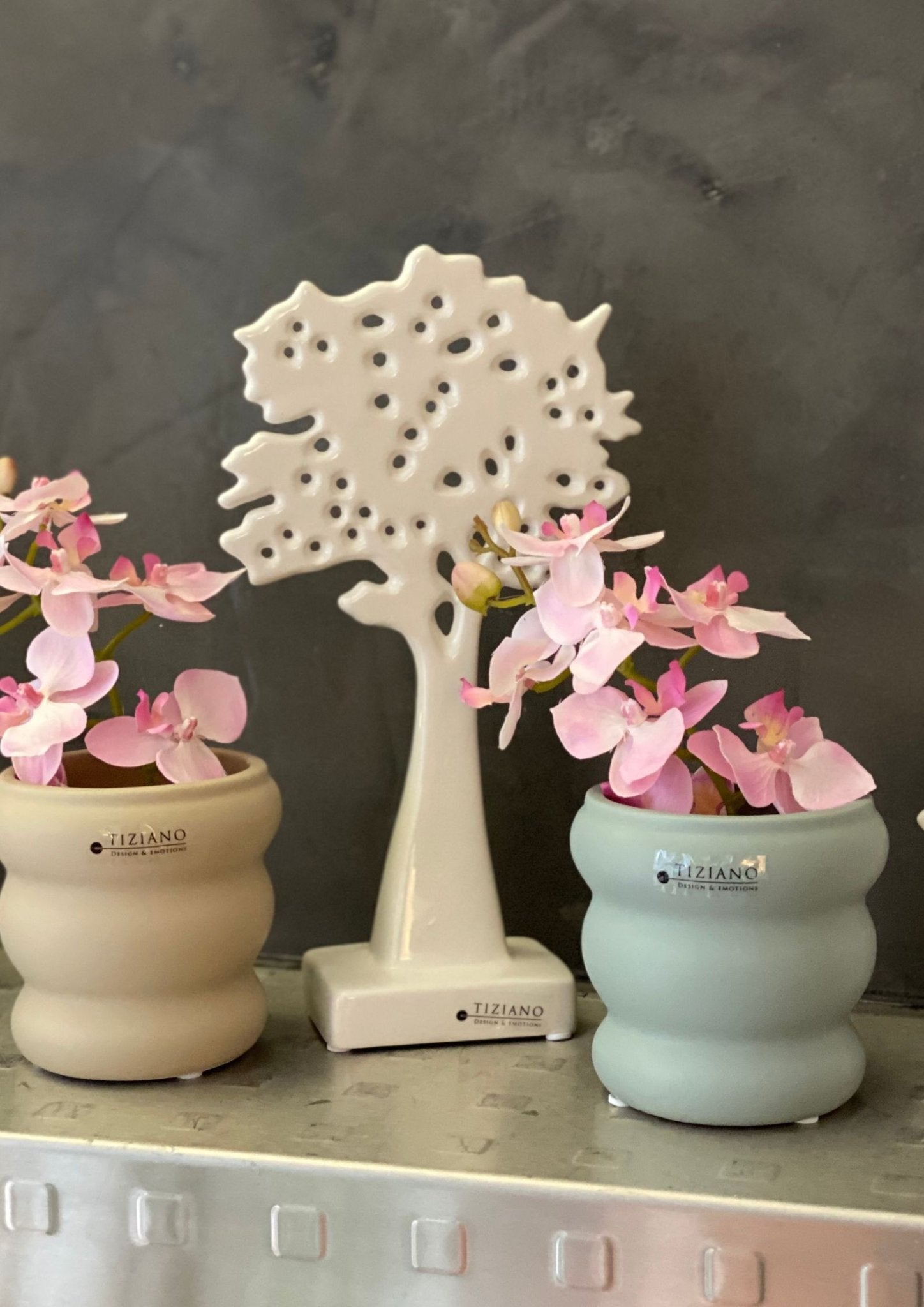 Tiziano Dekobaum Paullo creme - weiß - Lillyano