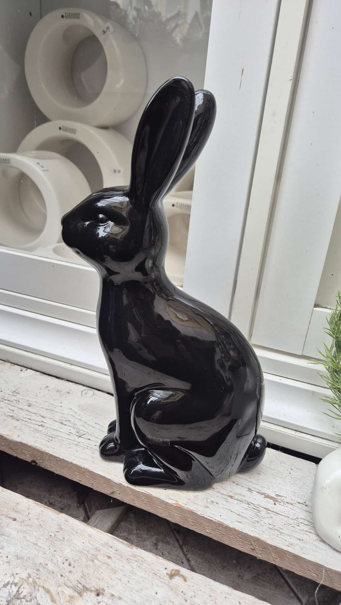 Tiziano Hase schwarz - Lillyano