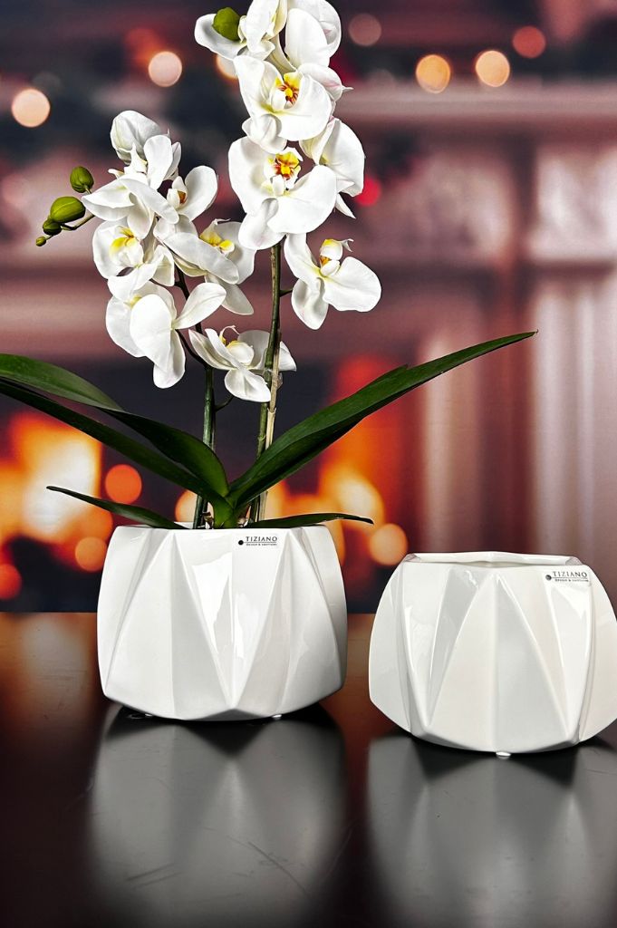 Tiziano Kübel Alba creme - weiß 2. Wahl - Lillyano