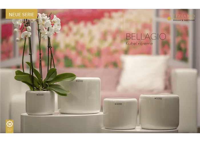 Tiziano Kübel Bellagio creme weiss Orchideenkübel - Lillyano