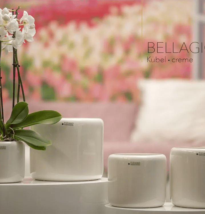 Tiziano Kübel Bellagio creme weiss Orchideenkübel - Lillyano