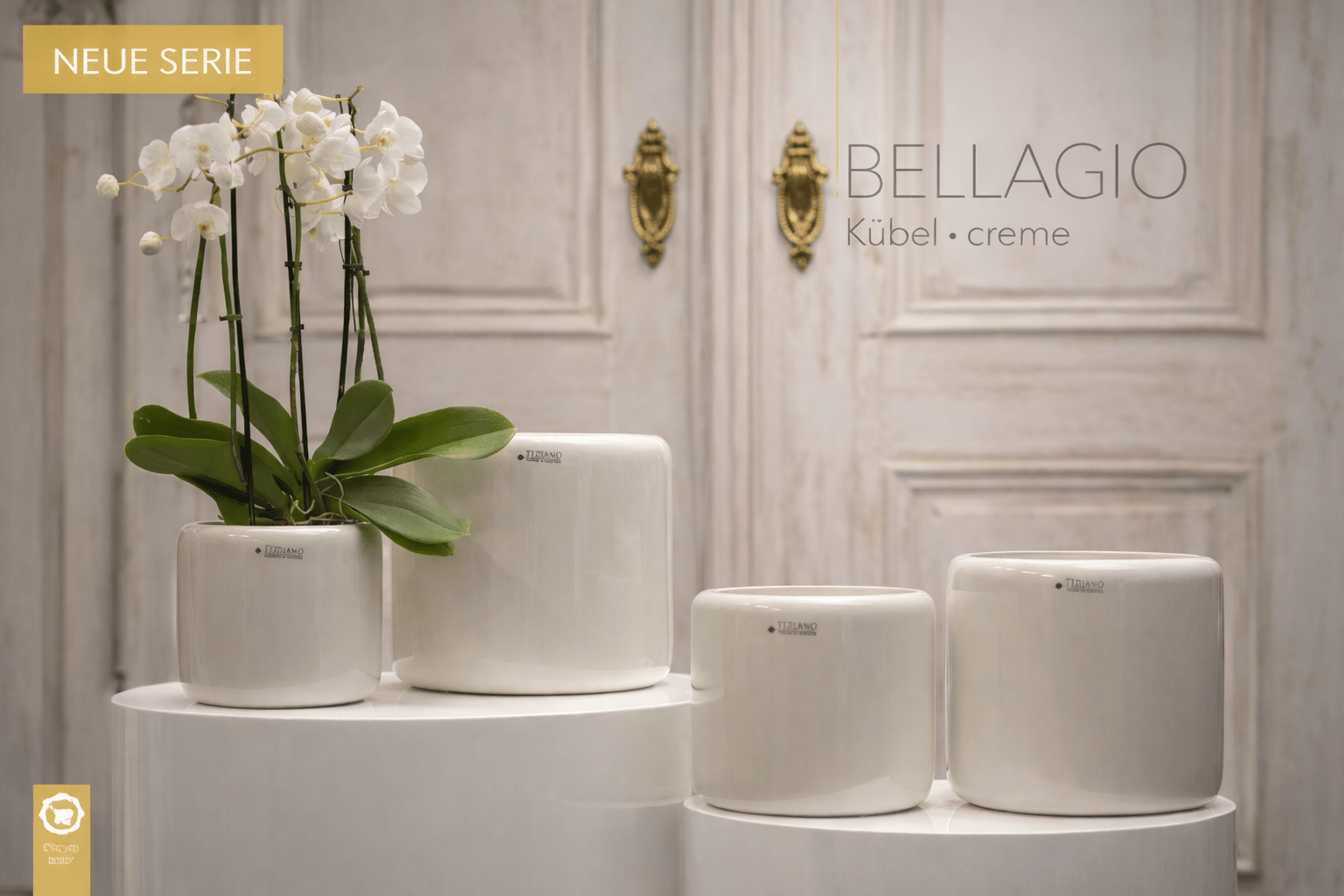 Tiziano Kübel Bellagio creme weiss Orchideenkübel - Lillyano