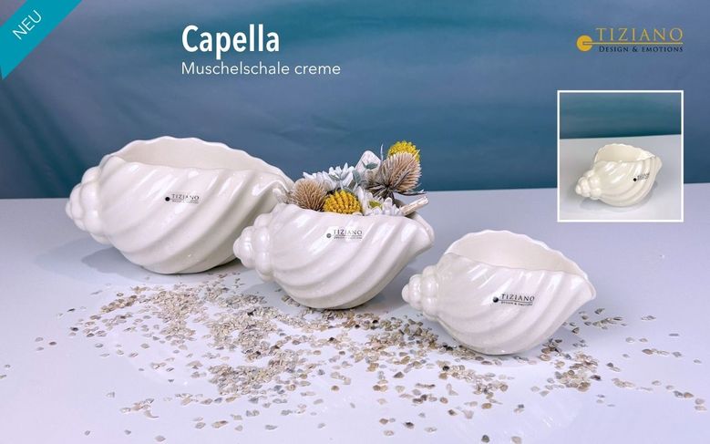 Tiziano Muschelschale Capella creme - weiß - Lillyano