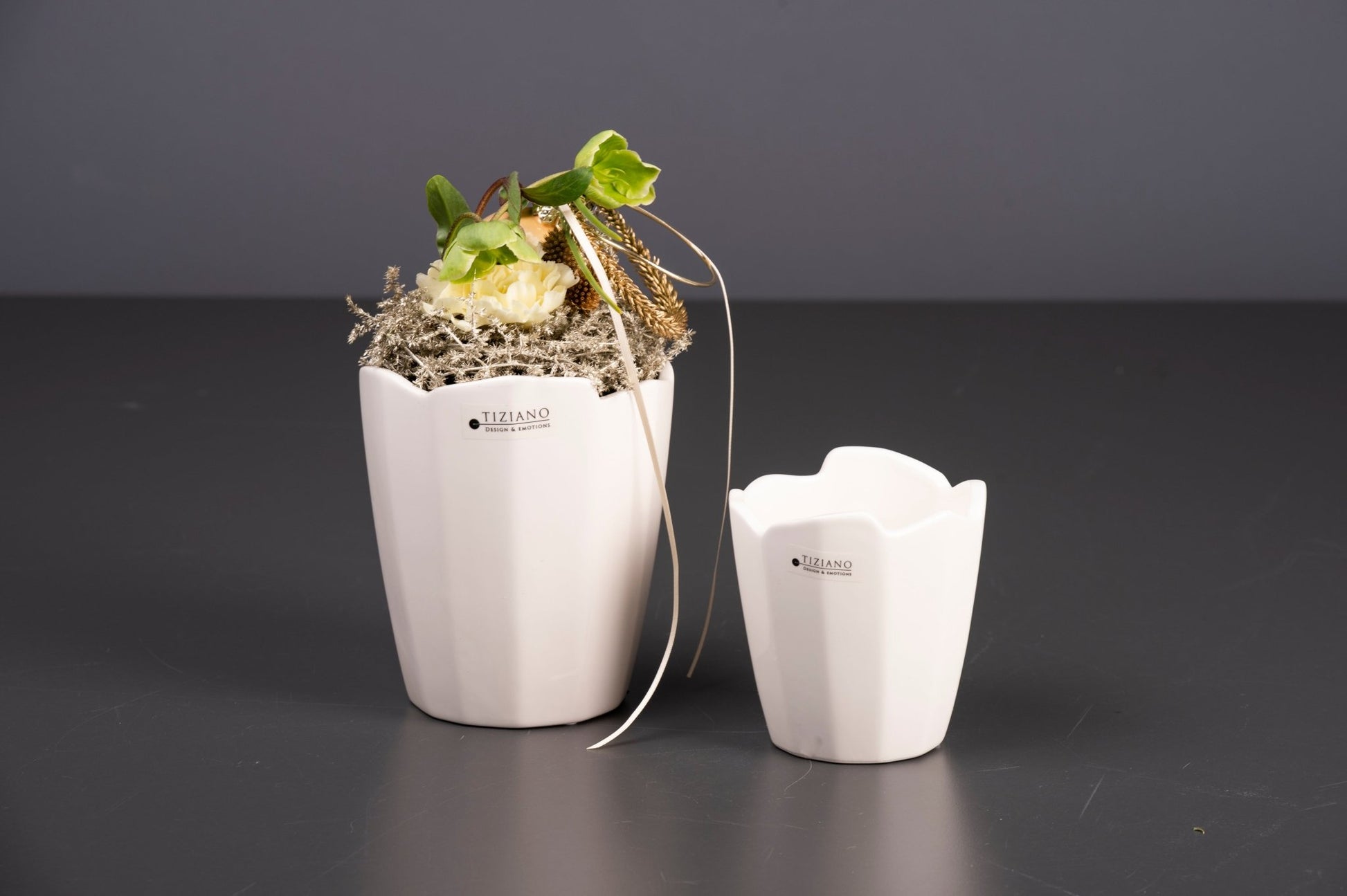 Tiziano Orchideen Kübel Grosetto 13 cm - Lillyano