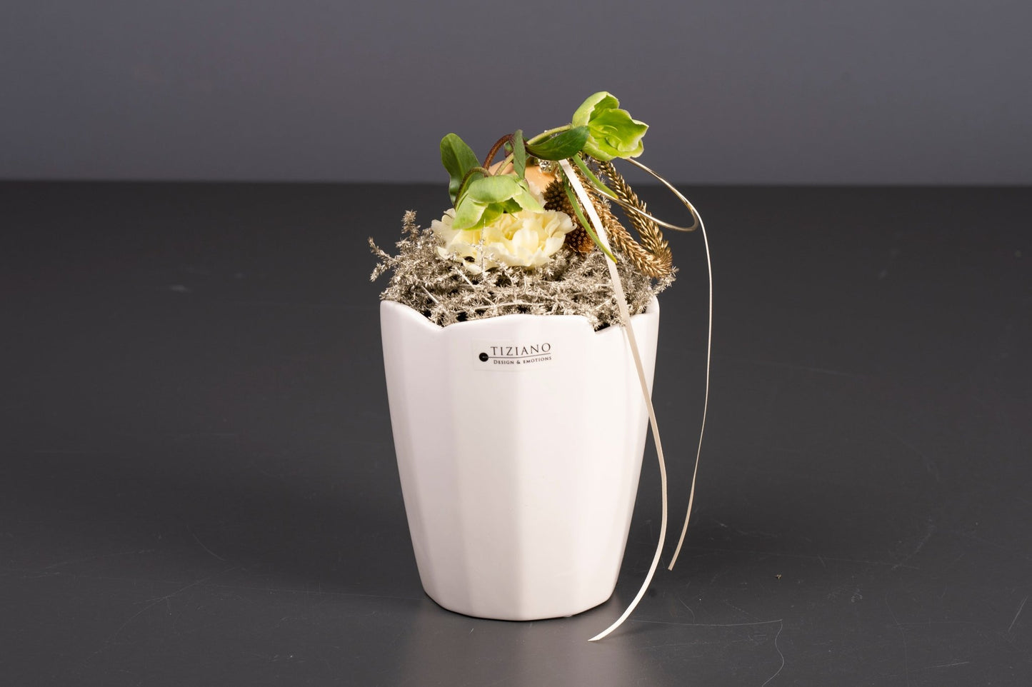 Tiziano Orchideen Kübel Grosetto 13 cm - Lillyano