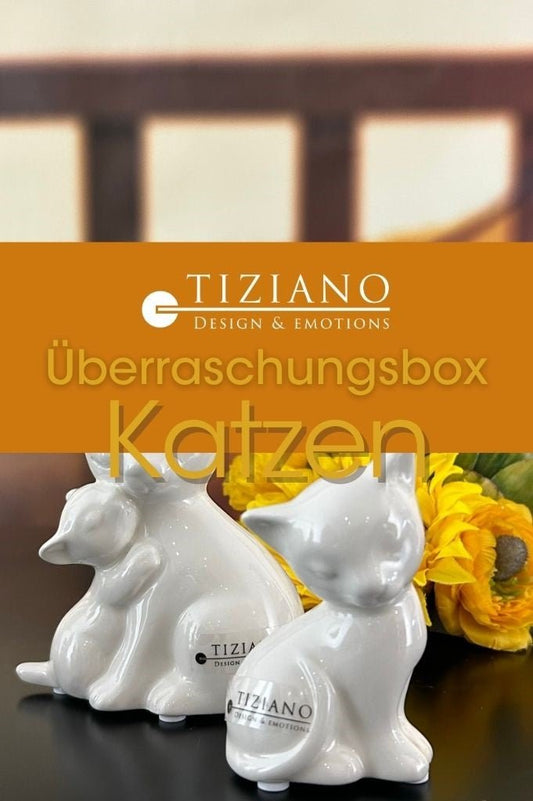 Tiziano Überraschungsbox Angebot! Katzen limitierte Dekobox Katzenfans aufgepasst! - Lillyano