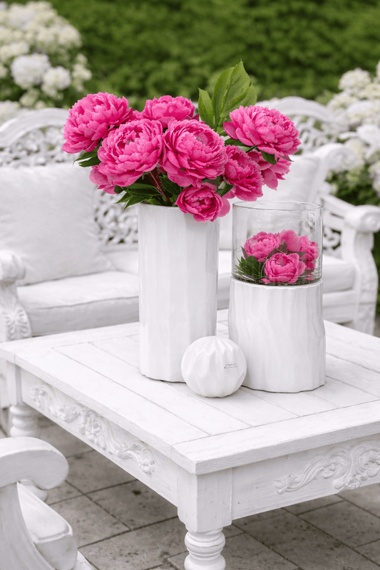 Tiziano Vase Luson perla - Lillyano