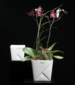  www.lillyano.de   Ihr Onlineshop für Tiziano, Deko und Geschenke
Tiziano#Deko#Frühling#Frühjahr#Ostern#Geschenke