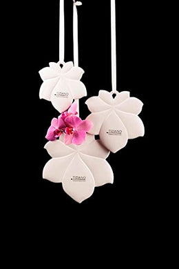 Tiziano#Deko#Frühling#Frühjahr#Ostern#Geschenke
