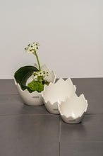 Laden Sie das Bild in den Galerie-Viewer, Tiziano Schale Cosmo Egg schräg new creme
