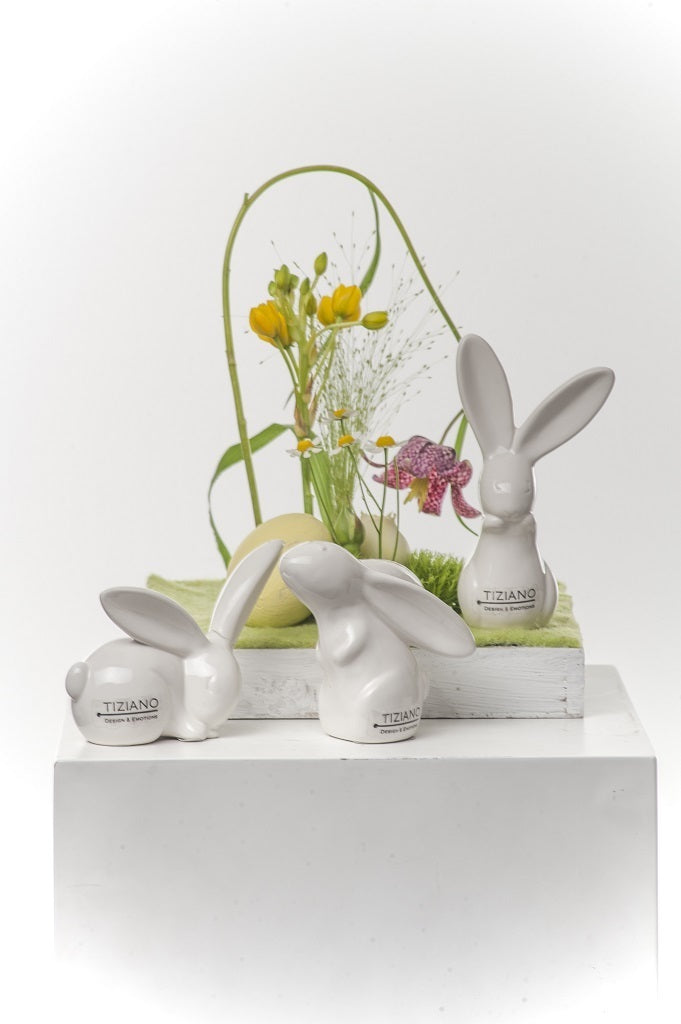 Tiziano Hase Felipe New schnuppernd