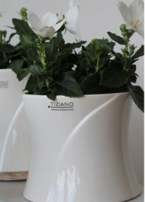 39+ Blumentöpfe Von Tiziano, Verkaufe meine vase/blumentopf von