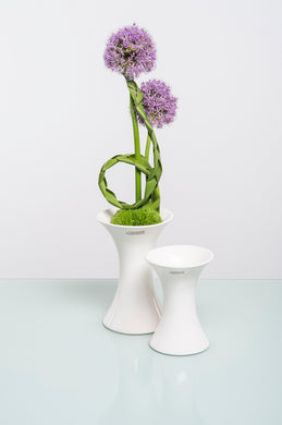 Tiziano #deko # Geschenke #onlinesop #deko kaufen # Ostern
