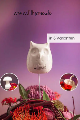 Deko# Geschenke# Ostern# Tiziano# Frühling# Frühjahr# dekoriert# happy# Schale# Keramik#  kaufen# online# günstig# Vase# Kübel# 