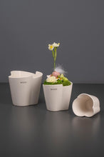 Laden Sie das Bild in den Galerie-Viewer, Www.lillyano.de    Ihr Onlineshop für Tiziano, Deko und Geschenke
Tiziano#Deko#Frühling#Frühjahr#Ostern#Geschenke
