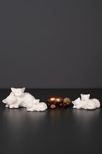 Laden Sie das Bild in den Galerie-Viewer, Tiziano Katzenpaar Daya weiß creme
